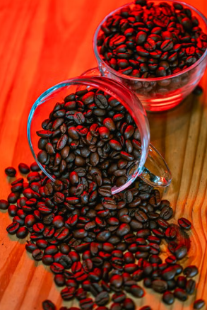 Can Coffee Support Weight Loss? What the Evidence Says